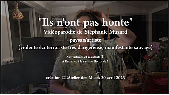 'Ils n'ont pas honte'  vidéoparodie de Stéphanie Muzard